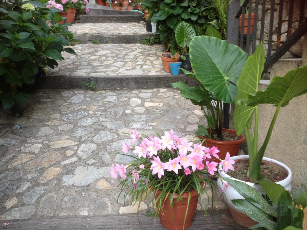 Anateresa Apartment Mogarraz
